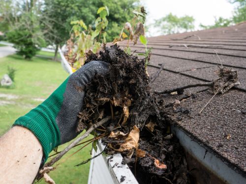  Power Washing