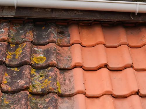 Douglassville Roof Washing