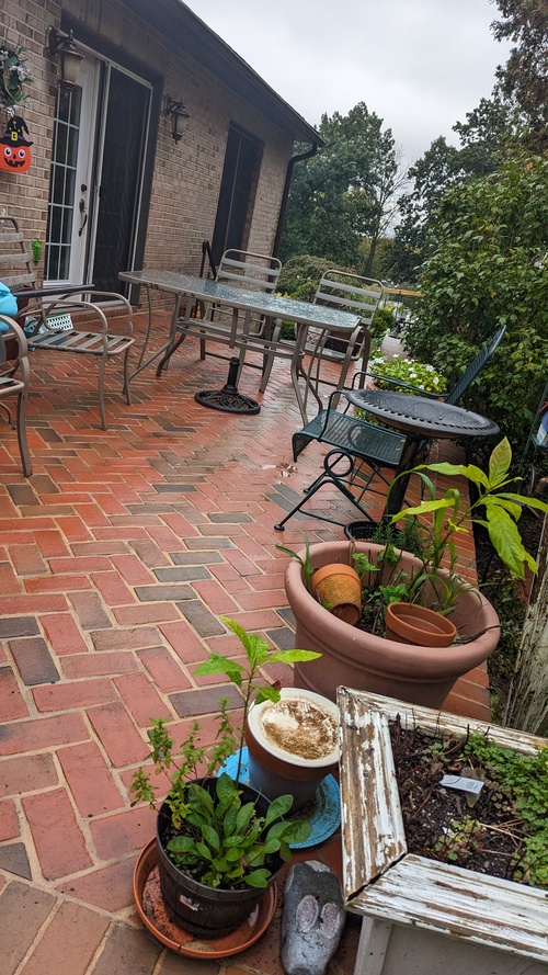 Deck Cleaning and Staining Birdsboro