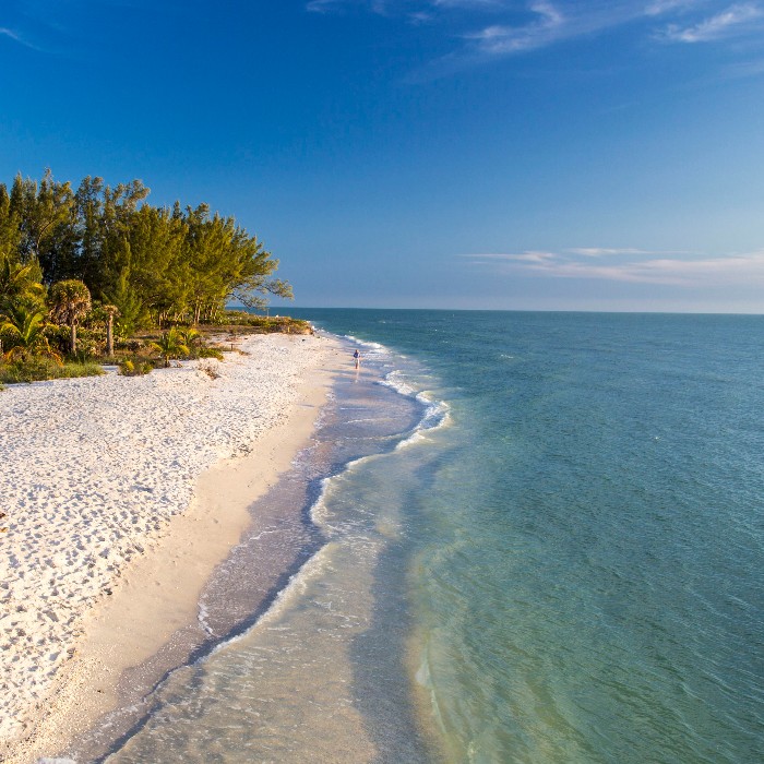 Sanibel Island Beach & Trees