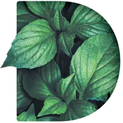 Danolyte HOCL Disinfectant Plant D