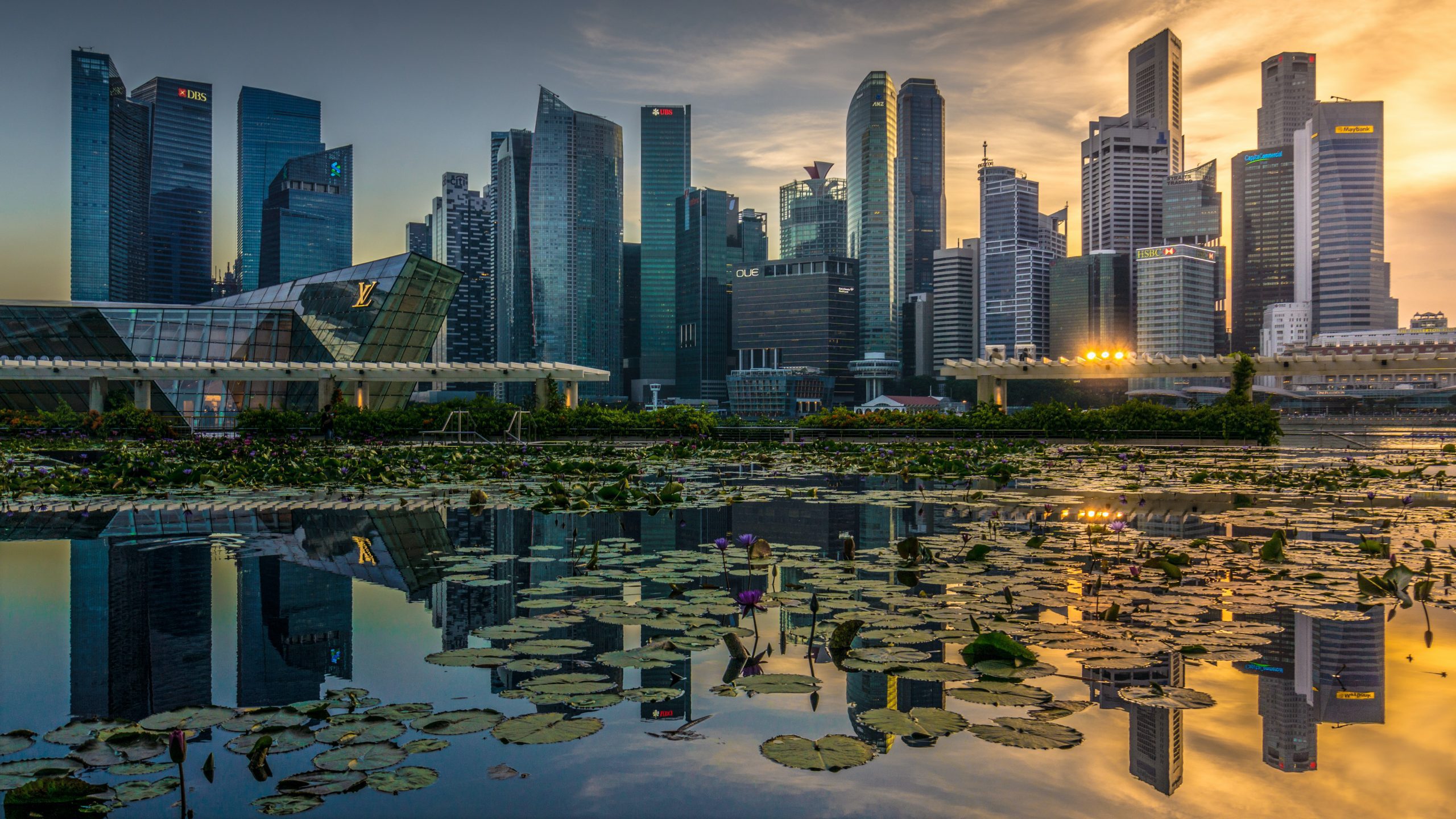 Singapore New Launch Updates