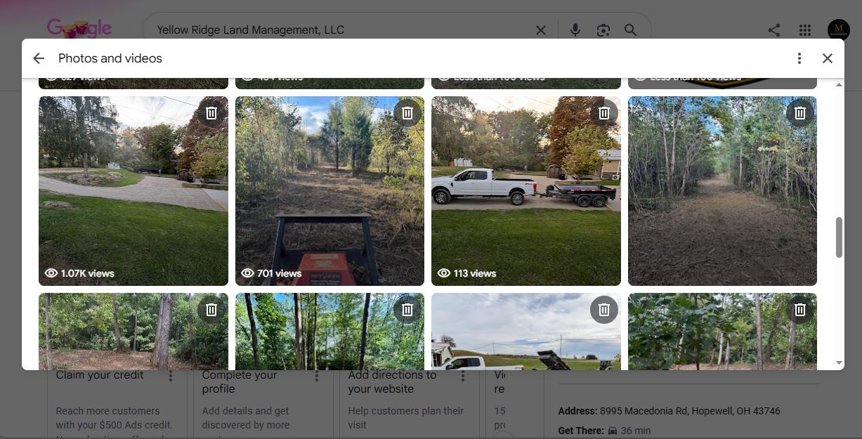 Google Business Profile Post Views Are Back: What Local Businesses Should Know