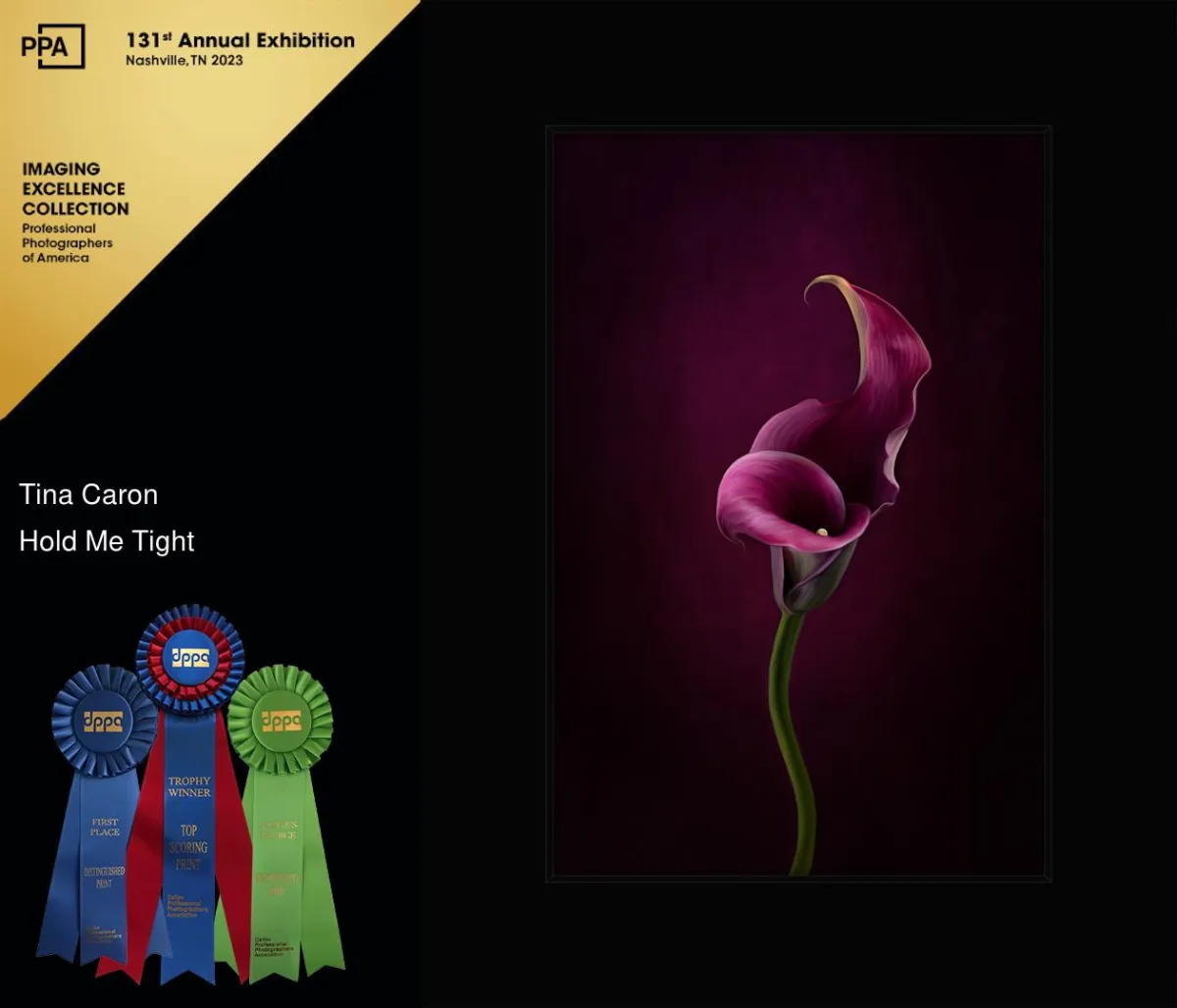 "Hold Me Tight" - Dallas Professional Photographer's Association: Illustrative - Landscape/Nature, First Place; Judge's Choice; Top Score. Fine Art painting of a double calla lily in dramatic deep magenta tones