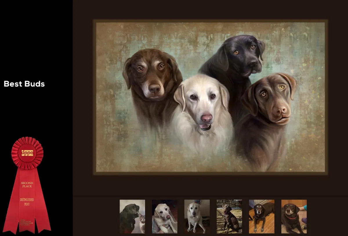 "Best Buds" - Dallas Professional Photographer's Association: Artist Division, Second Place. Custom commissioned pet portrait of 4 labarador retrievers painted from client provided cell phone images. 