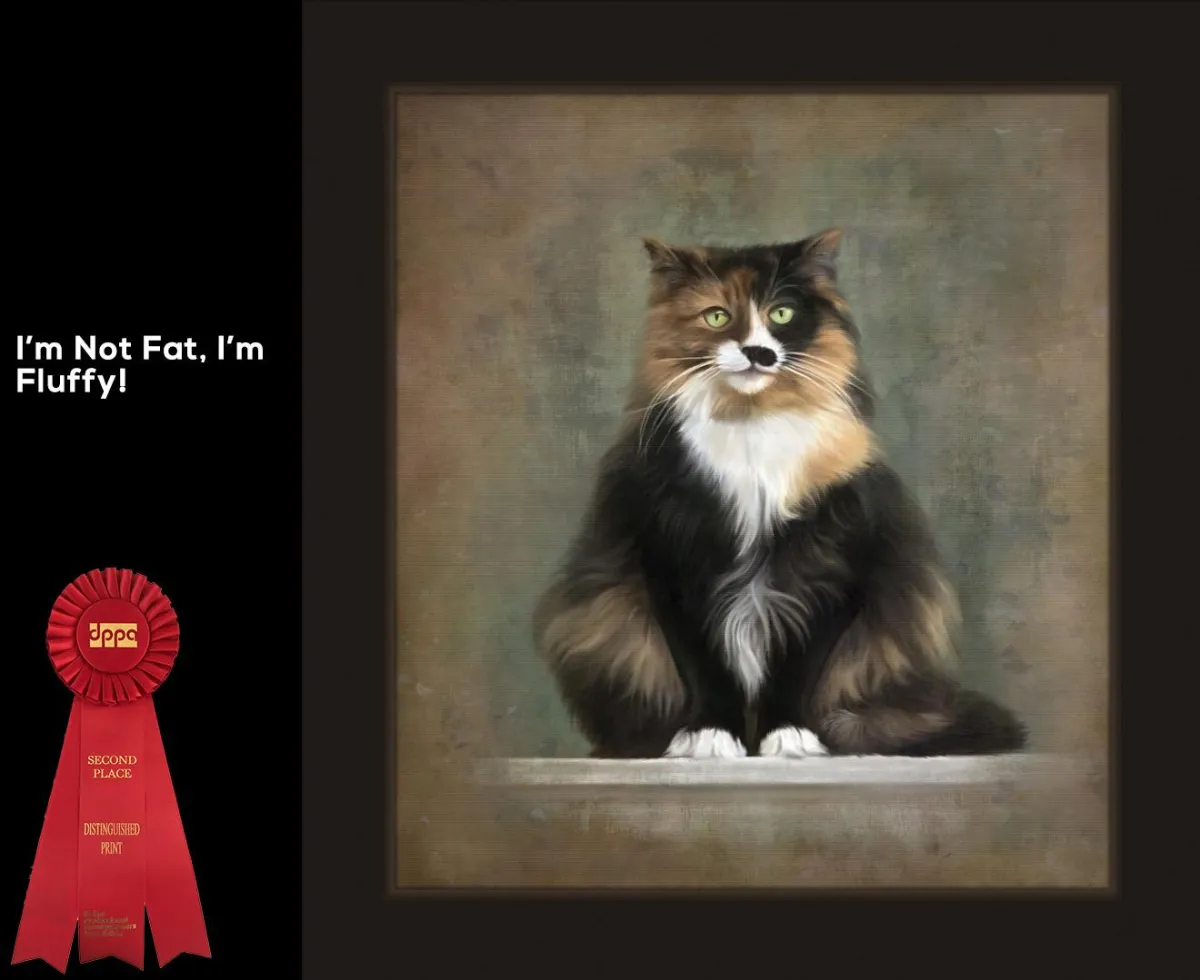 "I'm Not Fat, I'm Fluffy!" - Dallas Professional Photographer's Association: Portrait - Animal, Second Place. Fine Art Commission Portrait of a long haired calico cat.