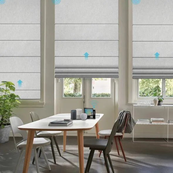 This is a Motorized Roman Shades 100% Blackout Iris