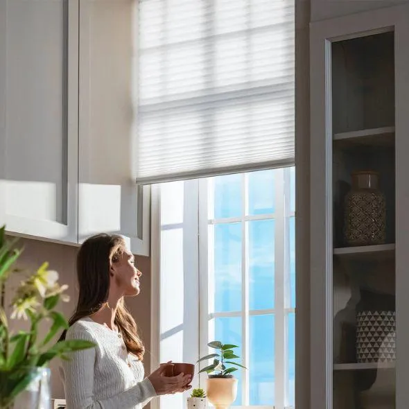 This is a Motorized Light Filtering Cellular Shades Nowa