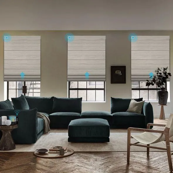 This is a Motorized Roman Shades 100% Blackout Astraea