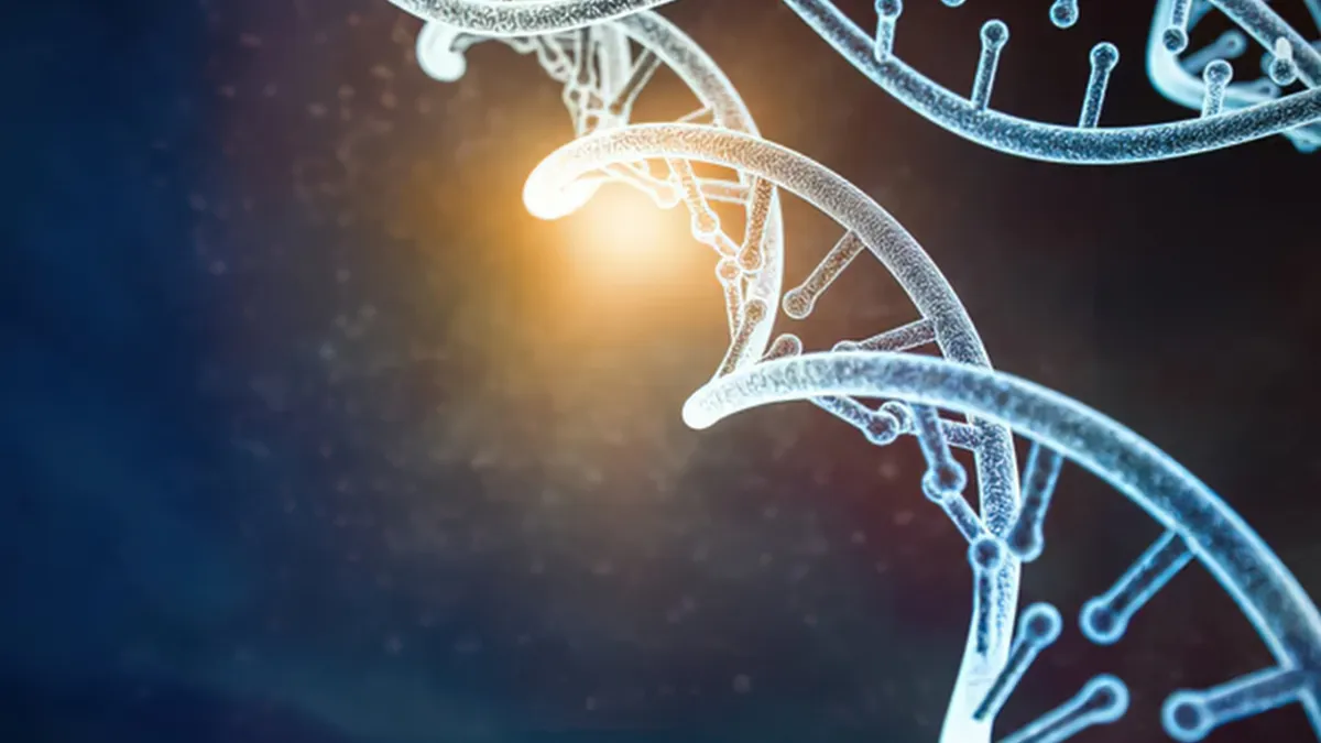 Mind Reprogramming: What Works and What Doesn’t
