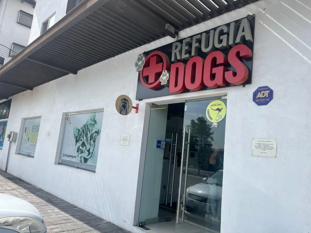 Hspital Veterinario CIMA