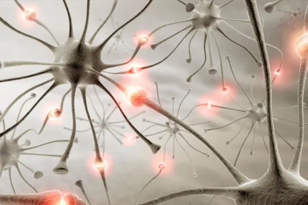 How Nerves Regenerate and Heal