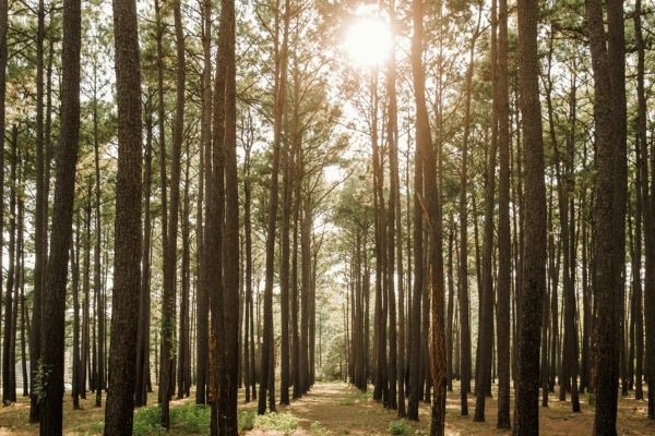 peripheral neuropathy treatment in The Woodlands