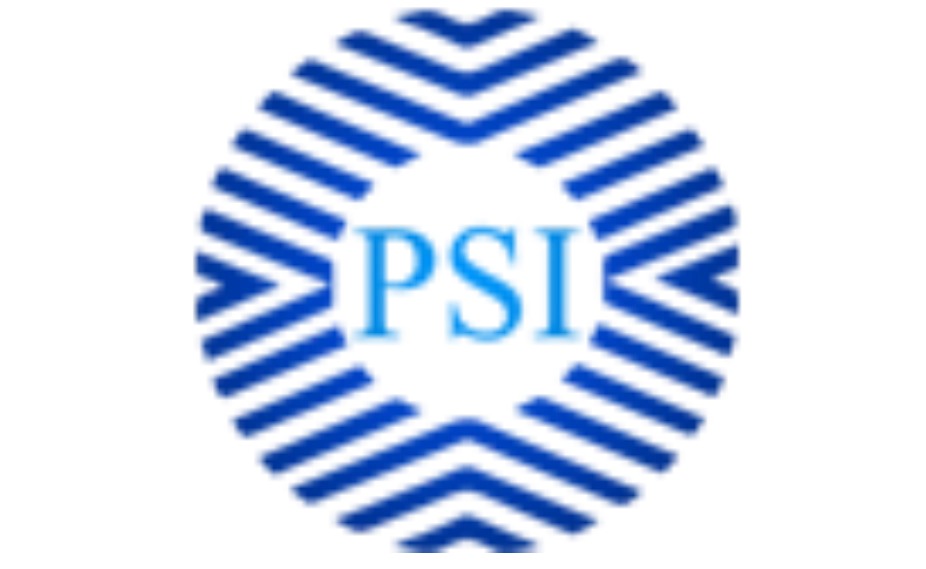 Payment Solutions Inc