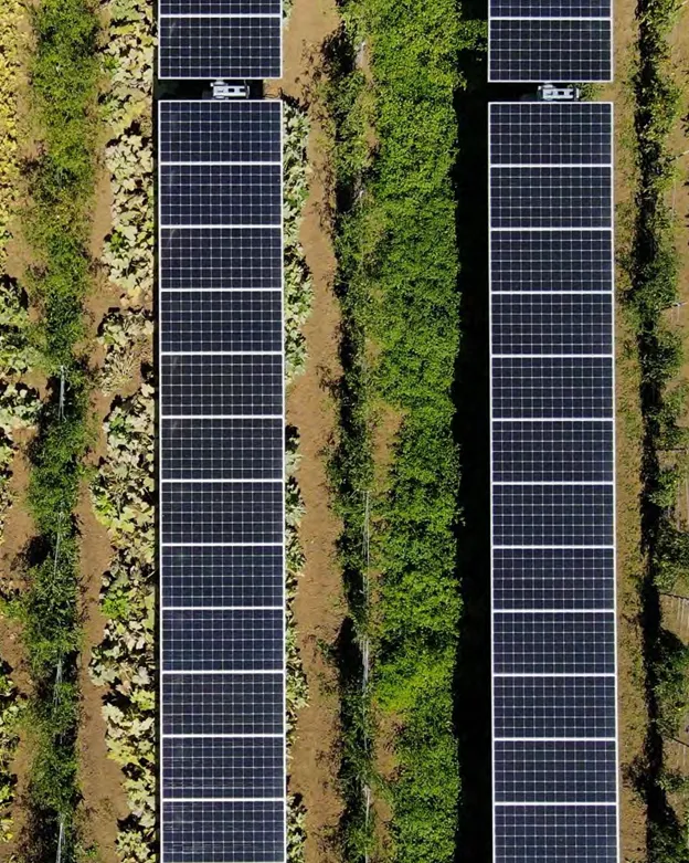 farm land with solar panels