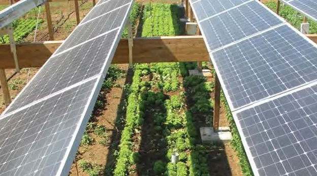 farm land with raised solar panels