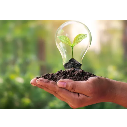 hand holding dirt with a lightbulb that has a seedling growing in it. 