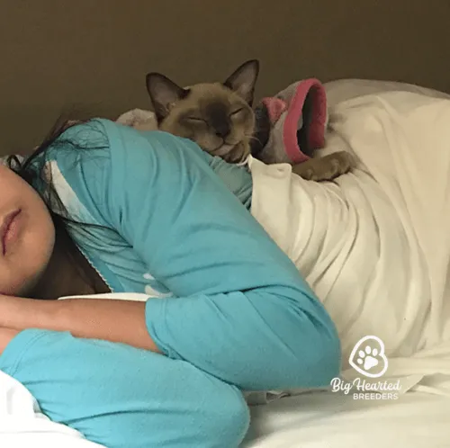 Girl Snuggling with Cat