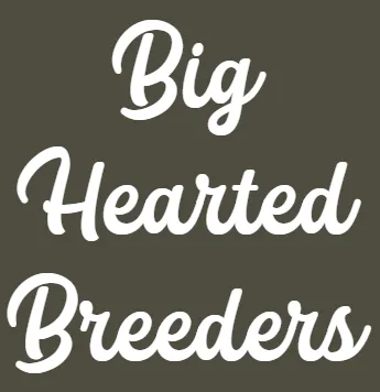 Big Hearted Breeders