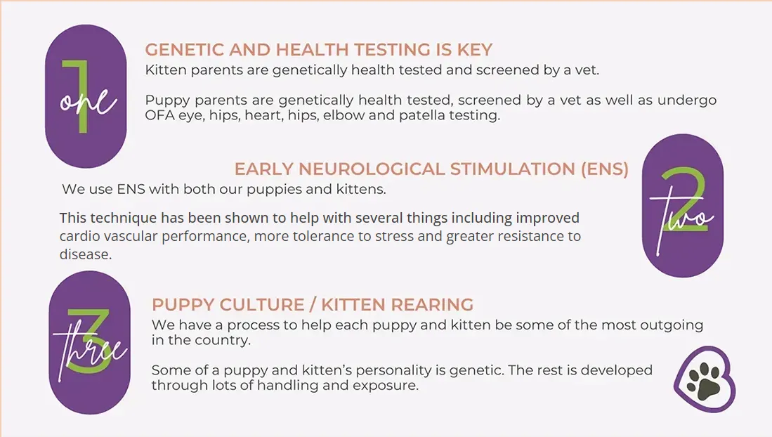 Genetic and Health testing is key, early neurological stimulation, puppy culture and kitten rearing.