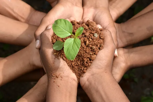 Why SaveSorb's Natural Plant