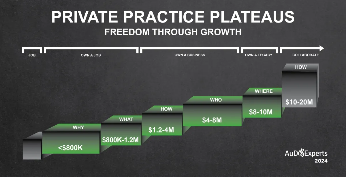 Audiology Practice Growth