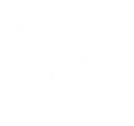 tiktok icon