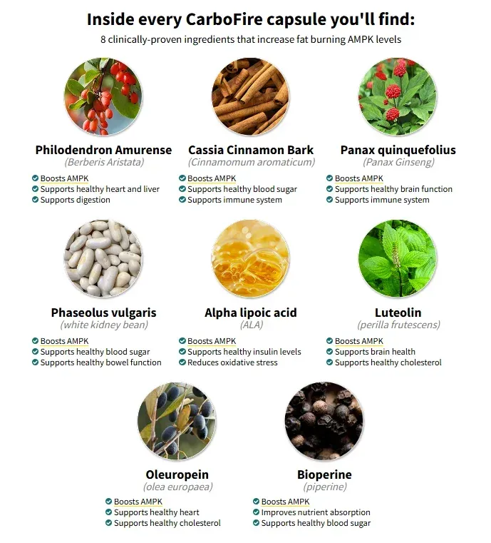 carbofire ingredients