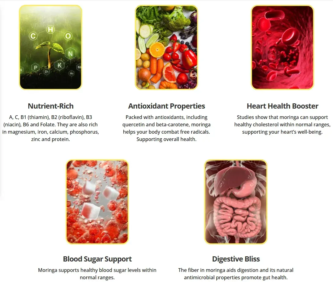 moringa magic official website