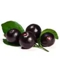 acay berry