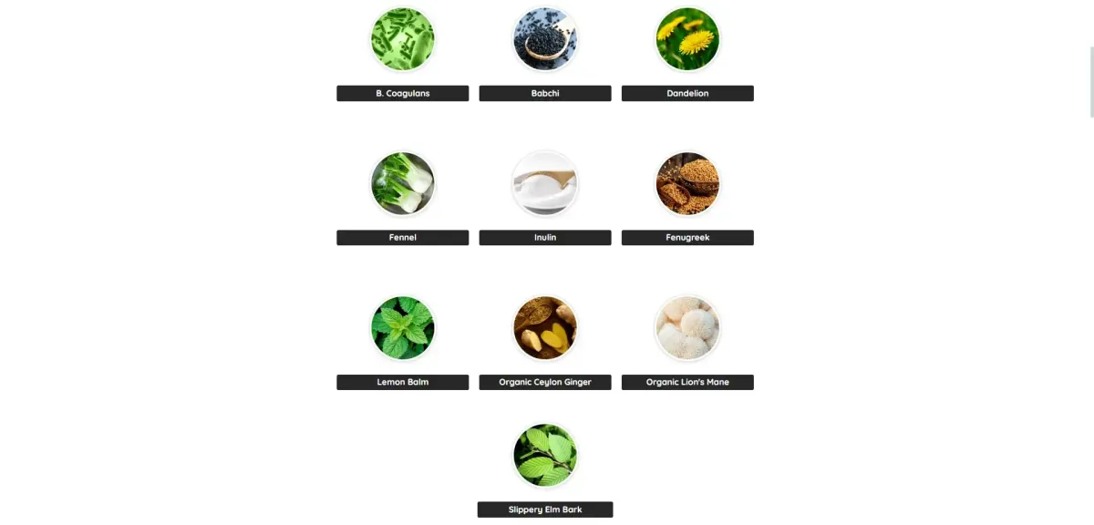 primebiome ingredients