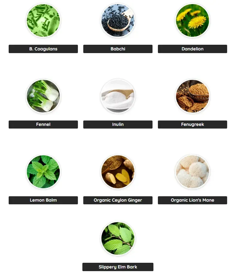 primebiome ingredients