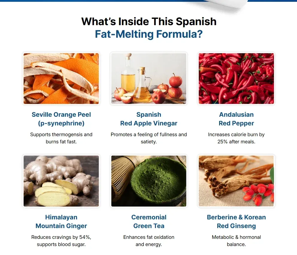 CitrusBurn Ingredients