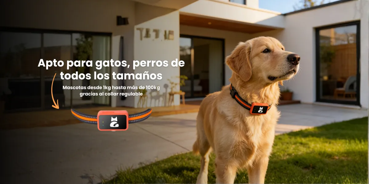 Perro perdido en un descampado de noche ilustrando donde un tag Bluetooth falla