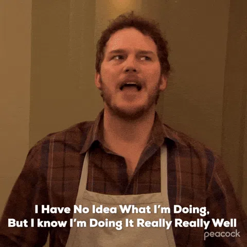 Andy Dwyer from Parks and Recreation saying I have no idea what I'm doing but I know I'm doing it really really well