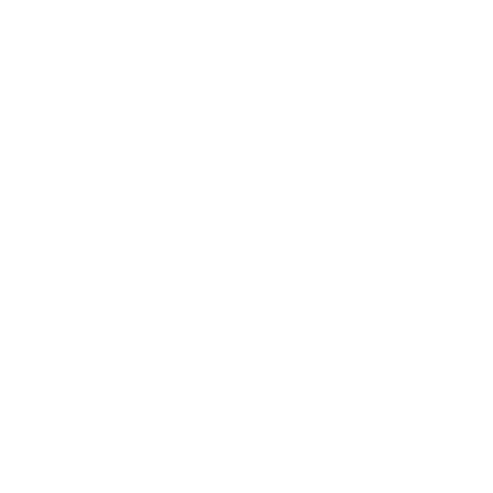 Northstar Preschools Icon Logo