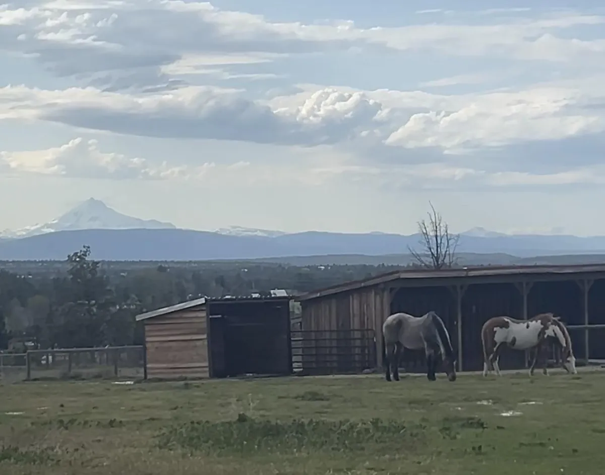 people playing violin inside dim room