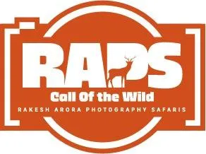 RAP SAFARIS