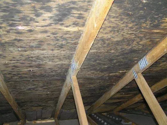 Roof icon for certified roof inspections and insurance documentation