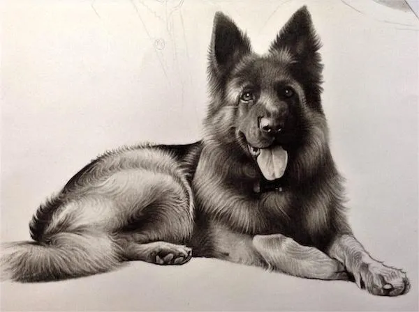 Xhosa Woman by Richard Chakwizira