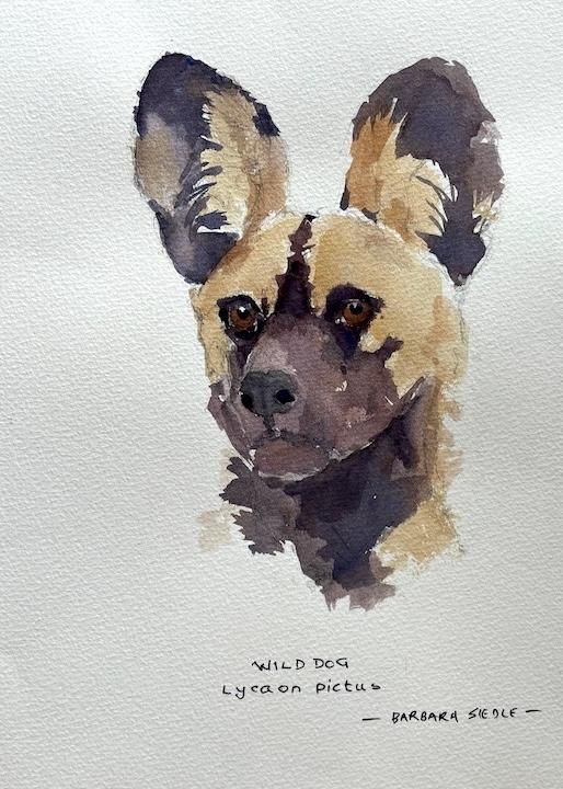 Wild Dog by Barbara Siedle