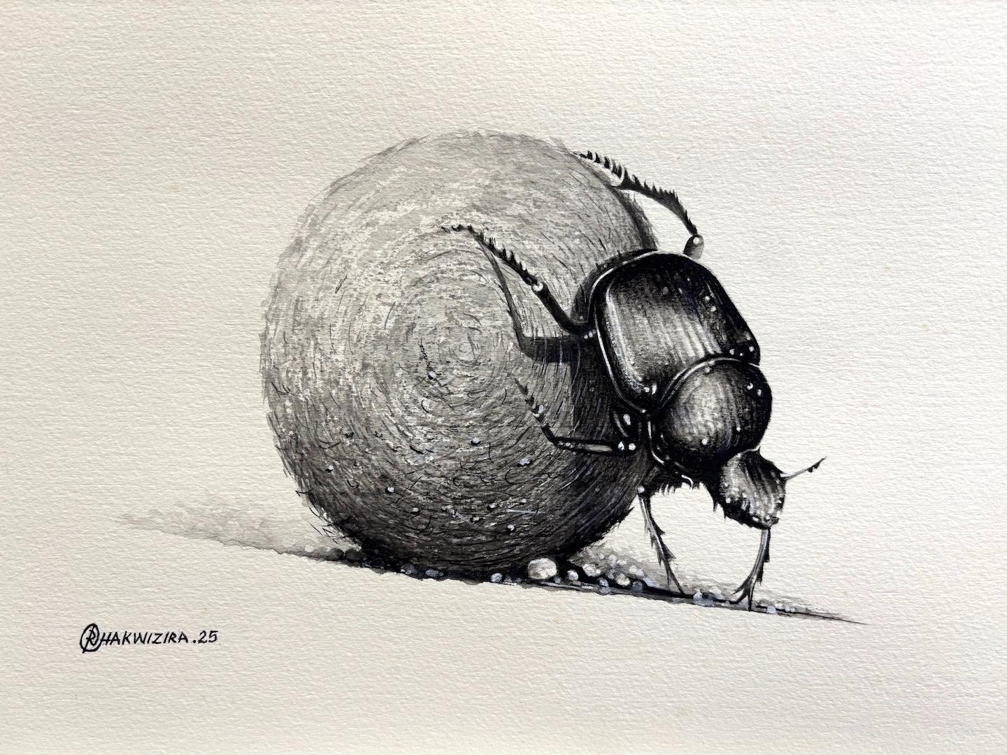 Dung Beetle 2 by Richard Chakwizira