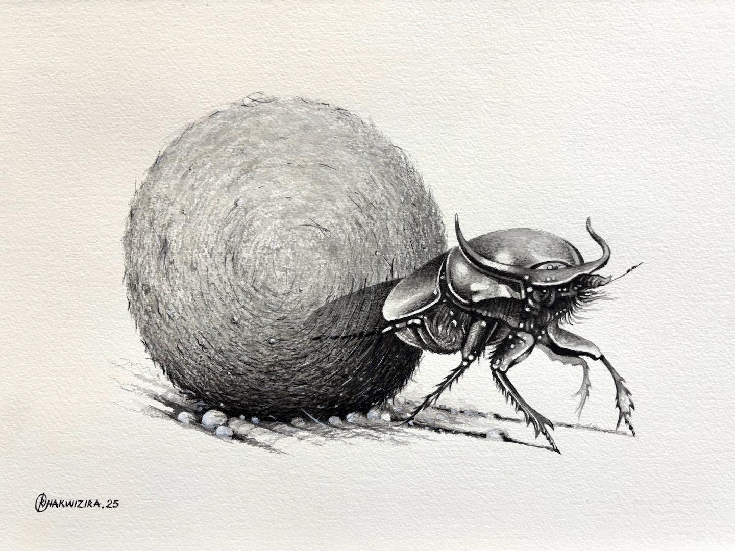 Dung Beetle 1 by Richard Chakwizira