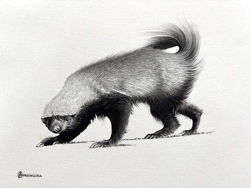 Dung Beetle 2 by Richard Chakwizira