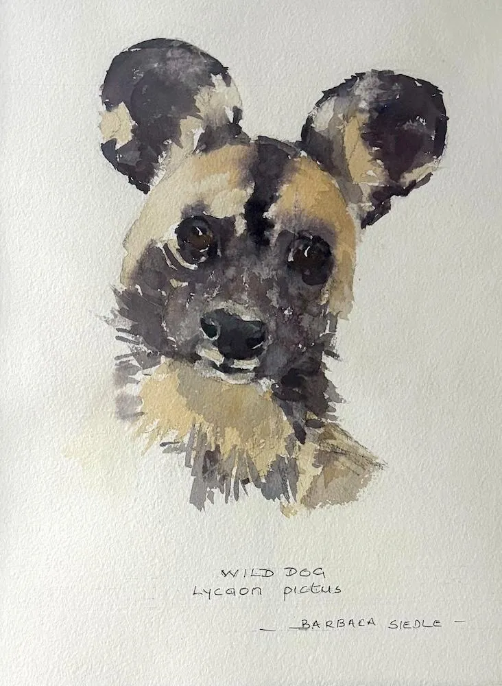 Wild Dog by Barbara Siedle