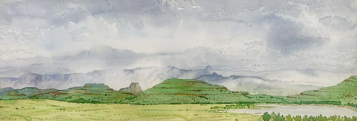 9 Succulents by Bruce Backhouse