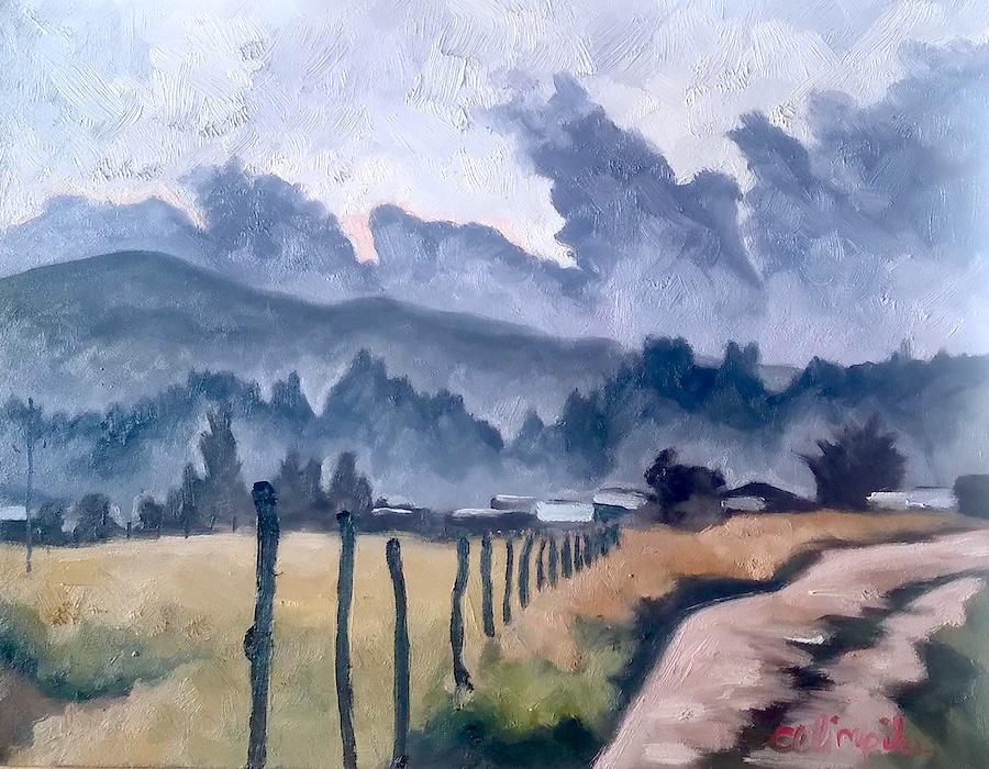 Misty Morning by Celimpilo Dlamini