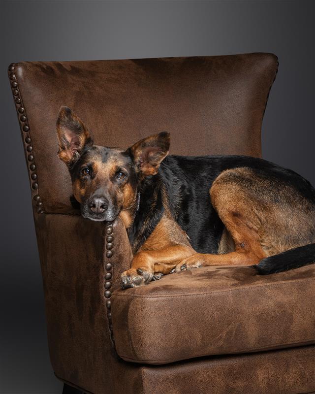 Client portrait placeholder