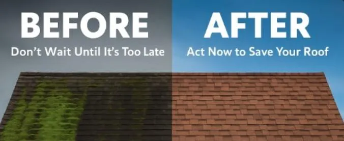 cleaning before vs after