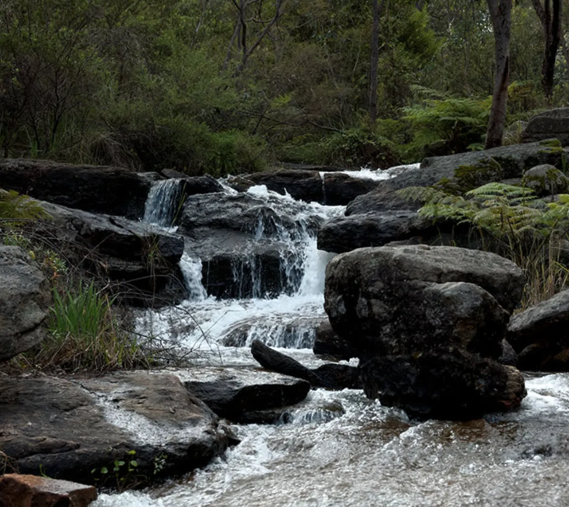 Stinton Creek Lawn Araluen Wedding Venue